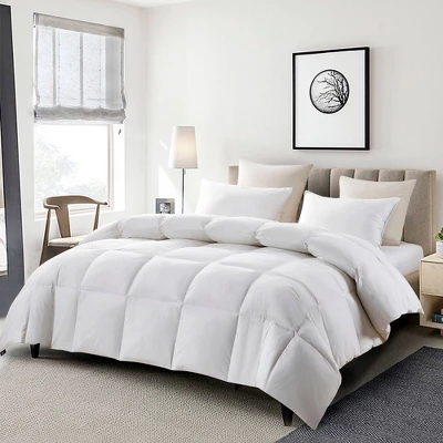 Lightweight Feather & Down Fiber Comforter - Serta
