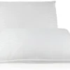 East Coast Bedding 2 Pack Luxury Goose Down Filled Pillows (Queen Size)
