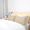 2 Pcs Standard 1800 Series Soft Brushed Microfiber Pillowcase Tan - PiccoCasa