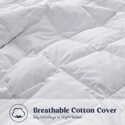 Peace Nest All-season 500 Thread Count Cotton White Goose Feather & Down Comforter Duvet Insert - Image 4