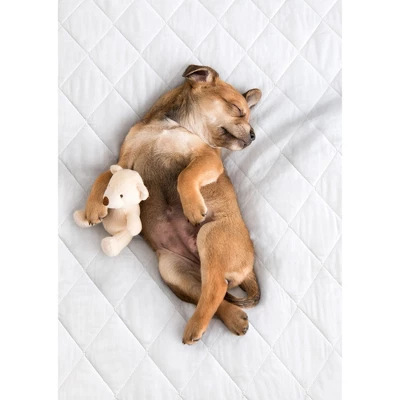 PharMeDoc Leak Proof Slip-Resistant Mattress Pad Protector - Image 6